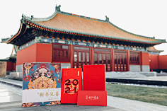棉大花儿采集到平面设计-VI品牌包装