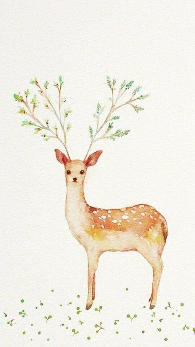 彩铅插画手绘风景人物动物