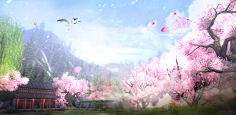 野甘草采集到场景