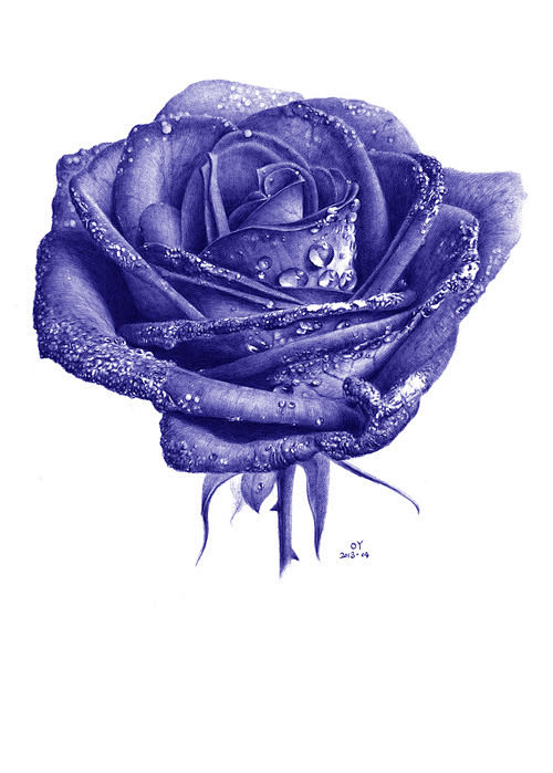 15:28:01oy圆珠笔画:蓝色妖姬花卉&  多肉植物北京艺博乐创意袁博