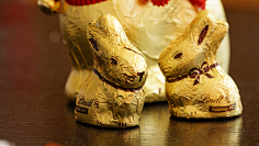 Rabbitwo采集到食物