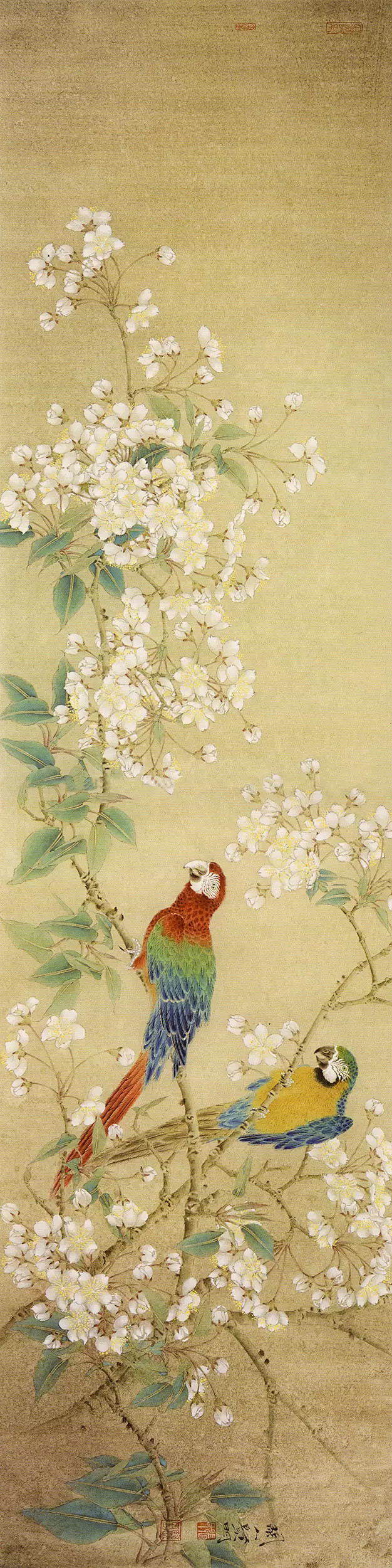 张贤明工笔花鸟画欣赏!