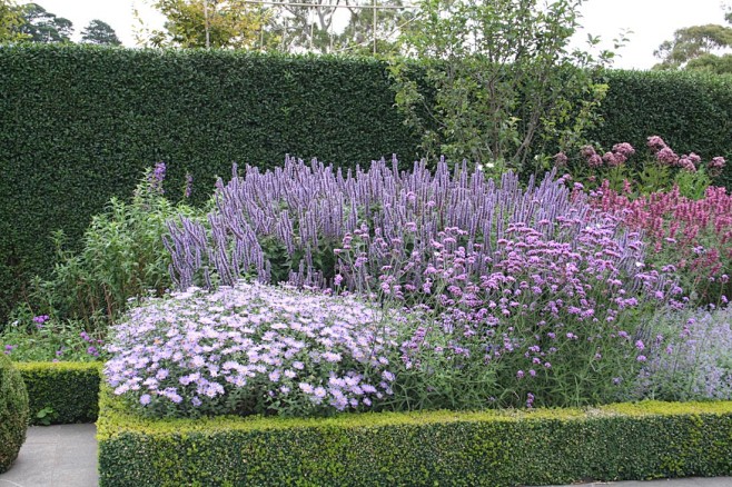 景观绿篱植物设计图集下载绿墙模纹花坛法式园林花园植物树木修剪迷宫
