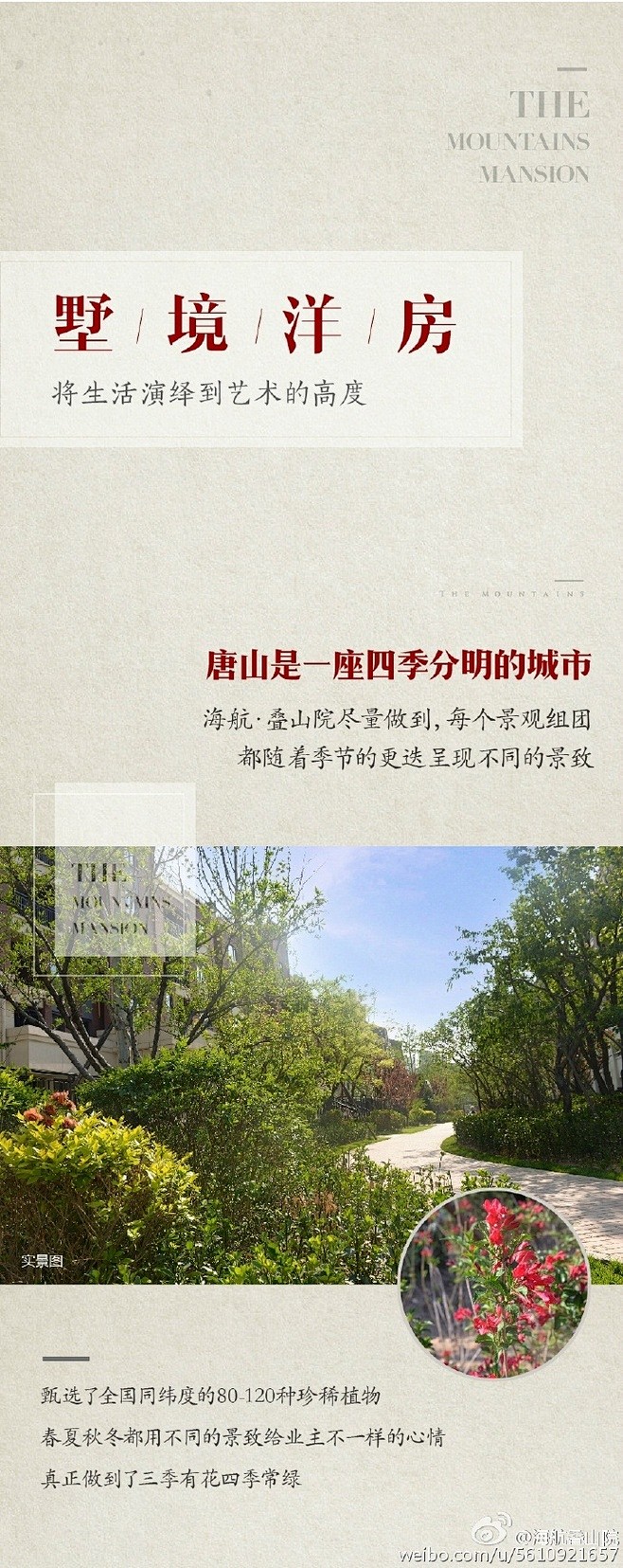 像沙耶加一样努力采集到素材