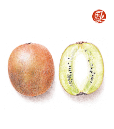 虞九采集到插画