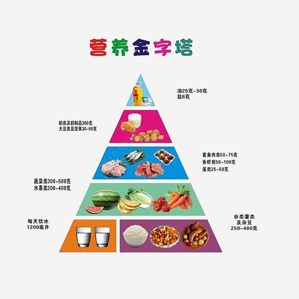 中国膳食金字塔2021图片