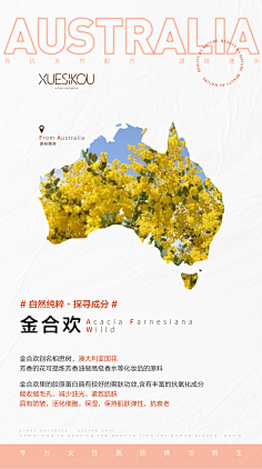 谁是谁家的小姑娘采集到成分海报