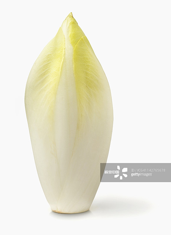 +•采集到瓜果蔬菜