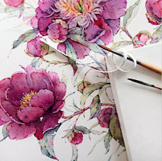 忽然芳菲采集到清新水彩画