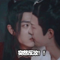 人鱼唱海采集到魔道祖师