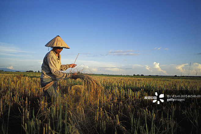farmerinricefieldvientianeprovincelaos