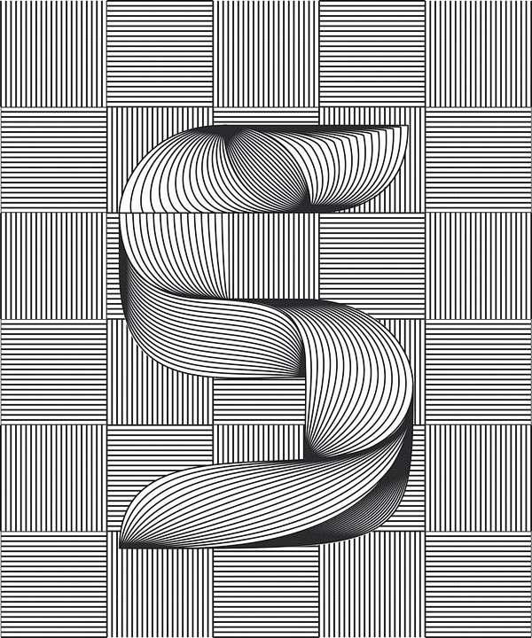 欧美typesii视觉错觉字体设计封面大图