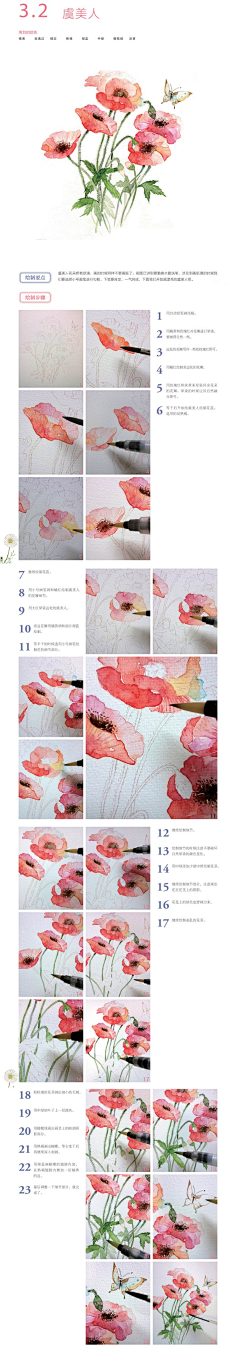 秘采集到手绘花卉素材