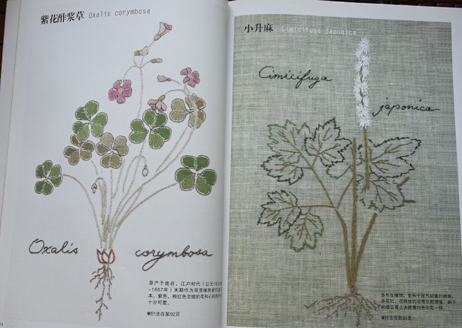 懒孩纸采集到绣法