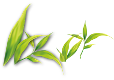 窑里陈采集到植物—素材