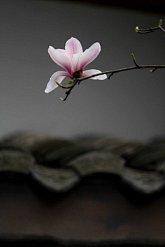 异世蝶舞采集到说佛