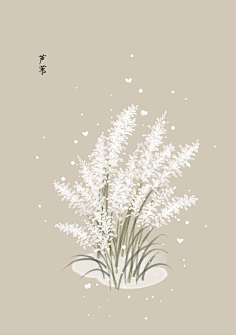 芍药居一霸采集到不知道叫啥名
