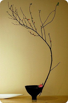 文子琳采集到油画
