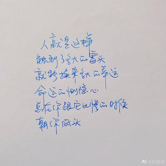 沐兮阑采集到文字控