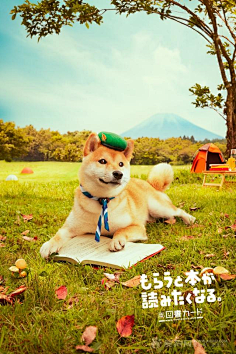 叫我小苏采集到【素材—宠物】