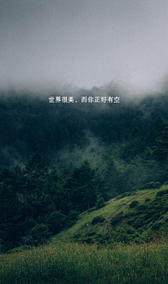潘潘}采集到文痕