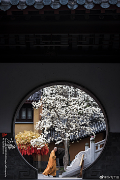 黑炽灯先生采集到氛围场景
