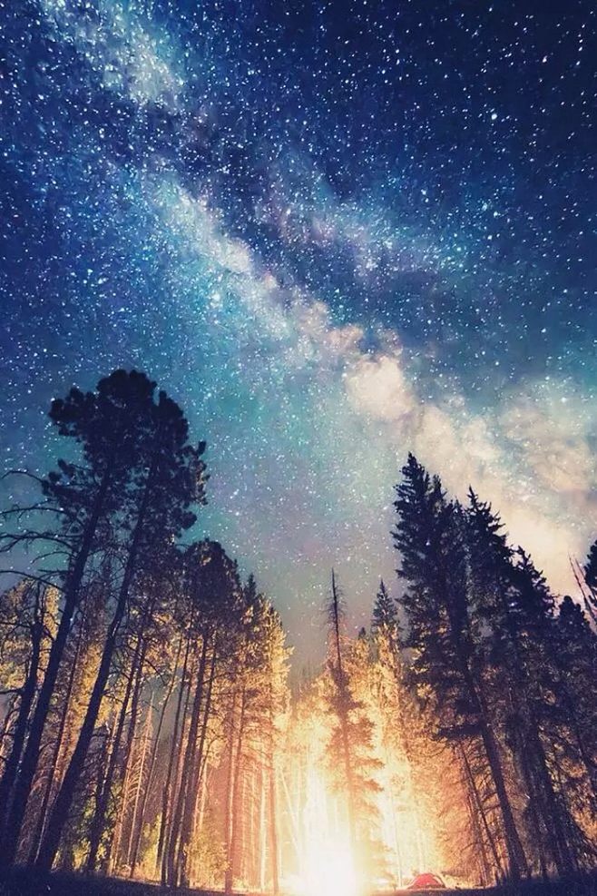 唯美星空夜景夜空星光树木自然风景iphone手机壁纸唯美壁纸锁屏