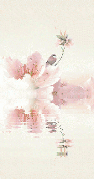 李万豪从米田主动设计转采于2018-01-11 16:32:23这组中国风壁纸竟