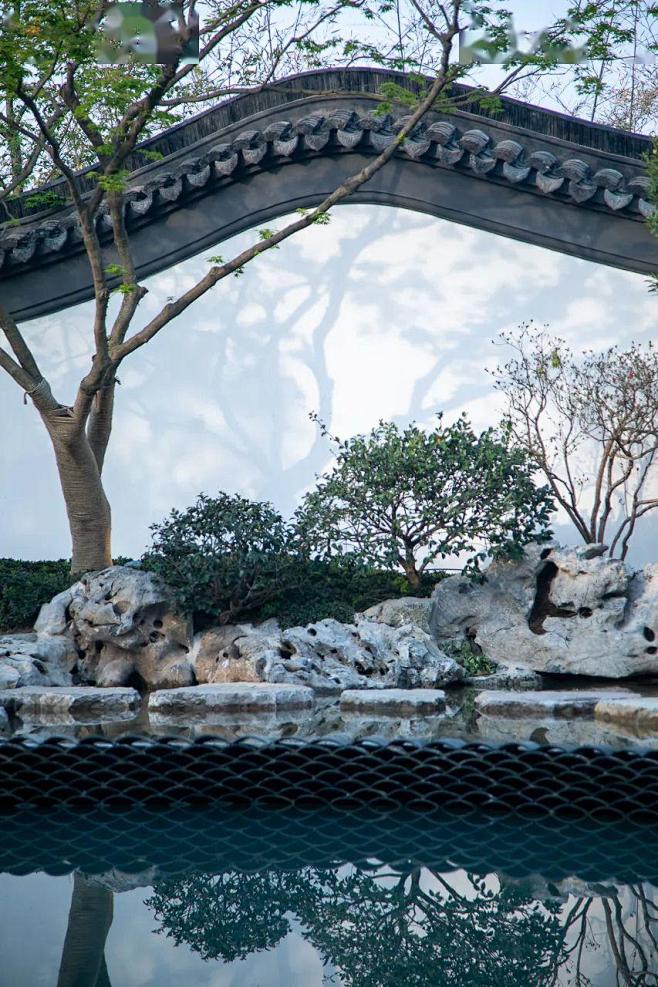 苏式庭院中式院子徽派中式庭院徽派庭院苏式庭院植物空间院落图片中式