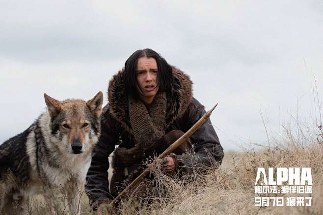 花瓣,陪你做生活的设计师