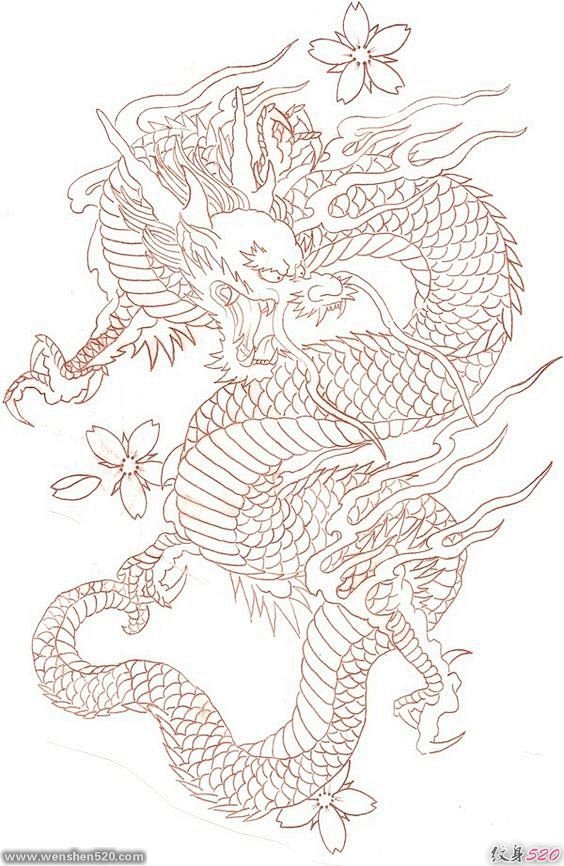 八款帅气的龙纹身图案手稿图6