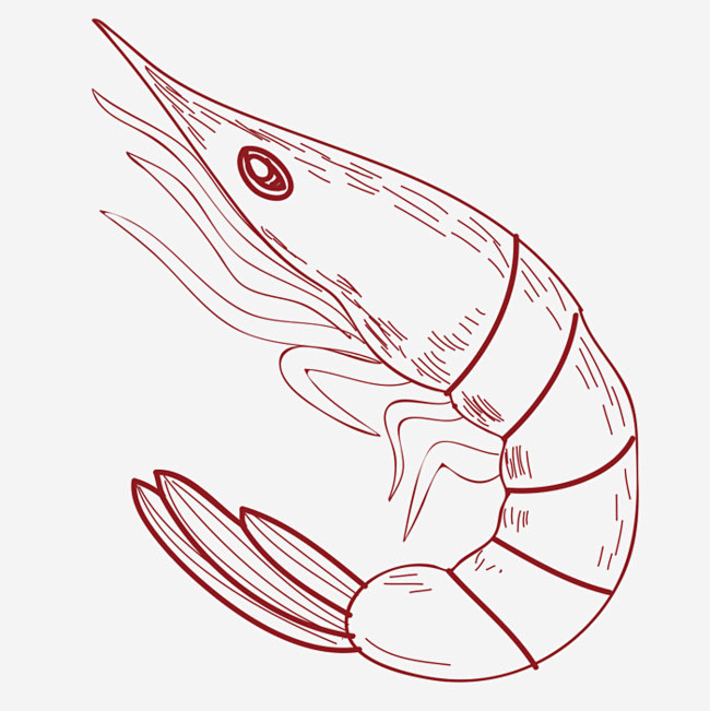 14:46:39手绘虾线图虾九毛|半夏该采集也在以下画板加载更多