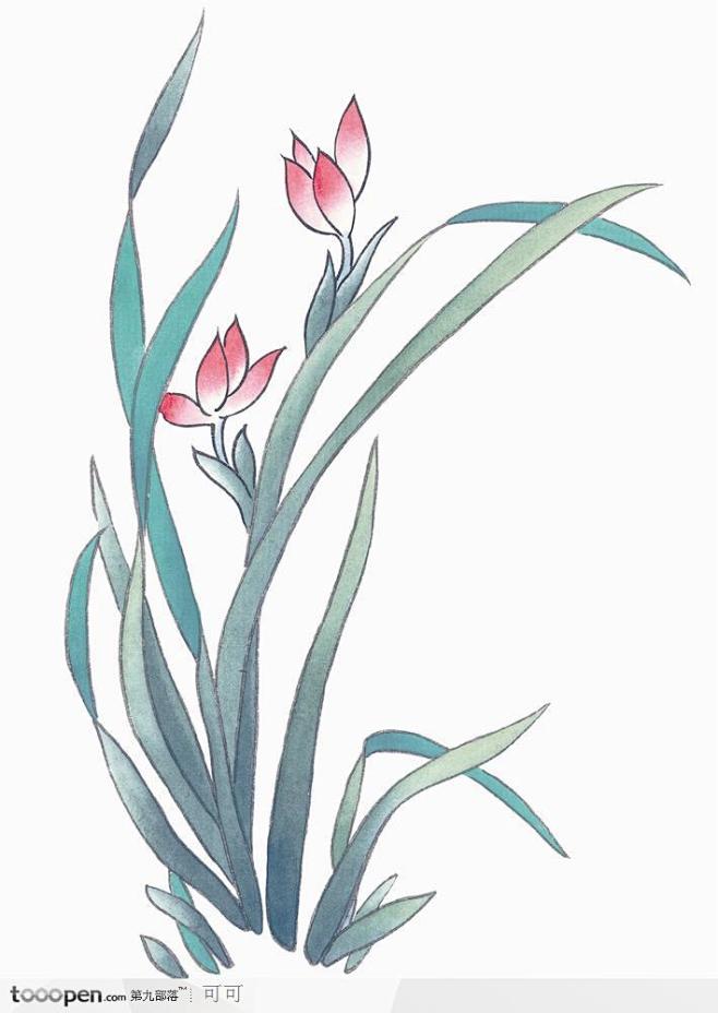 11:56:44花果类-兰花图艺术设计素材公社网小编同采自www