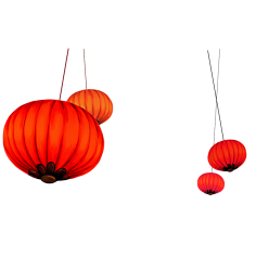 yywey采集到新年素材