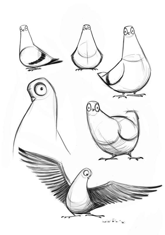 鸽子绘图简单 