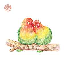 景生手创采集到插画-动物