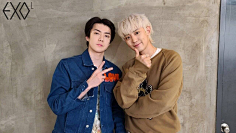 鹿煖采集到EXO