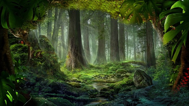 绿色 绿色清新 清新背景 春天 春季 春天背景 背景图 春天背景图 丛林