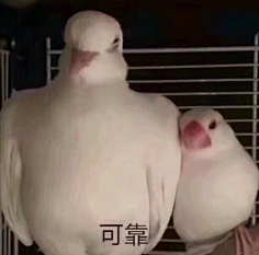 西野信平采集到表情包