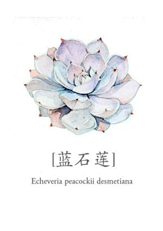 画画的柚白采集到各种植物