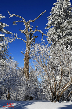 远山流水采集到冰天雪地