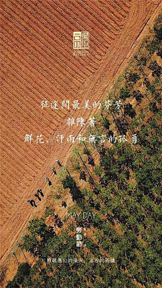 棉大花儿采集到汤臣一品合集