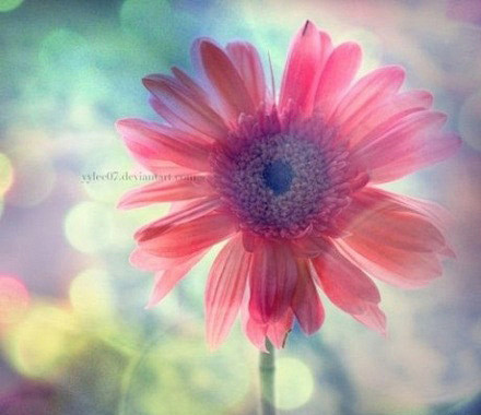 有时候我们之所以活得累,往往是因为放不下面