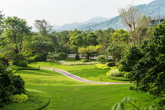 绿化地形堆坡自然地形景观广州生态园区风景图背景林景观广州风景图片