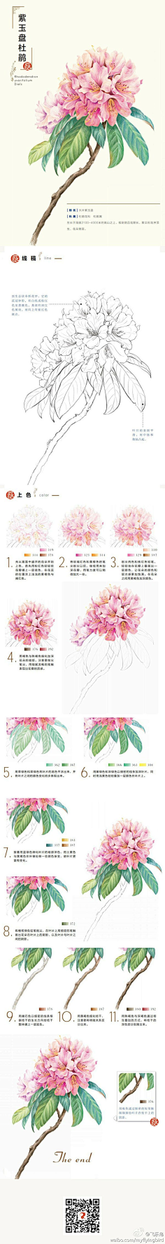 不会思考的猫采集到线描