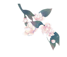 拂愿采集到免扣素材