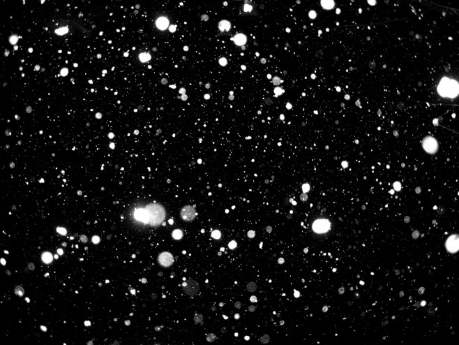 大雪 飞雪 雪景 雪花飘落 渲染气氛 前景 png素材 后期 图片合成 特效