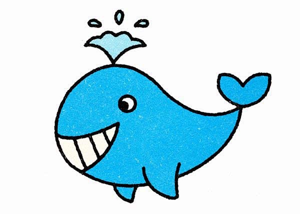 海洋卡通鲸鱼的简笔画图片教程素描彩图wwwuzonescom