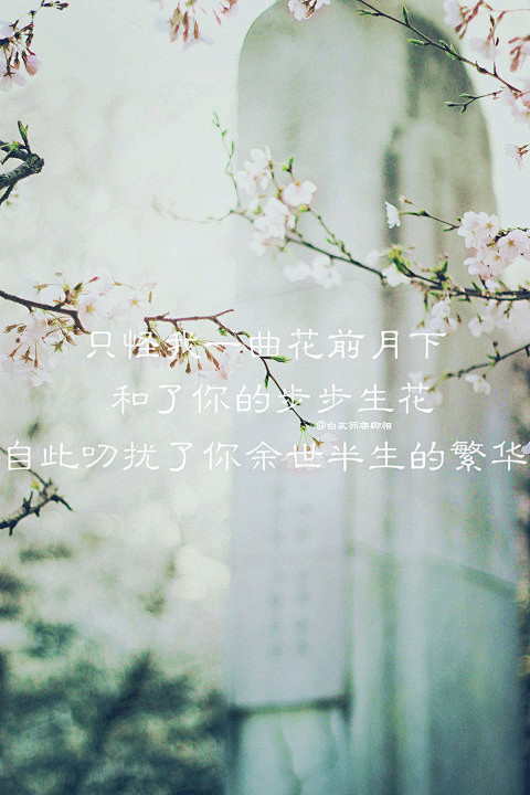 暖°采集到醉卧红尘•句