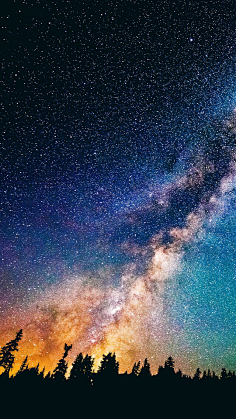 HaleyComet采集到星月夜